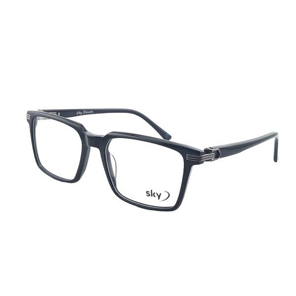 SKY Premium Acetate Eyeglasses – Model 120160J