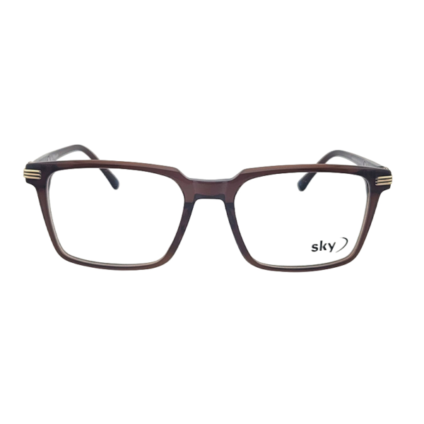 SKY Premium Acetate Eyeglasses – Model 120160J