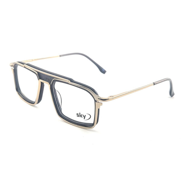 SKY Acetate & Metal Eyeglasses – Model 120307J