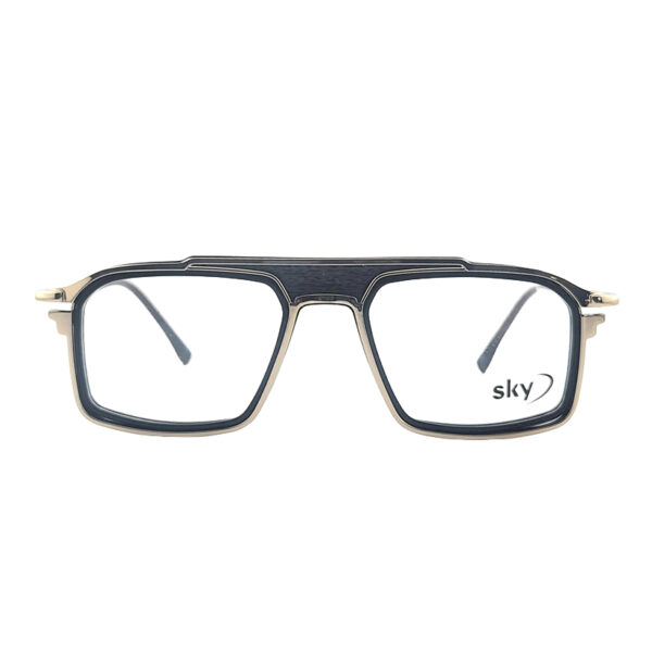 SKY Acetate & Metal Eyeglasses – Model 120307J