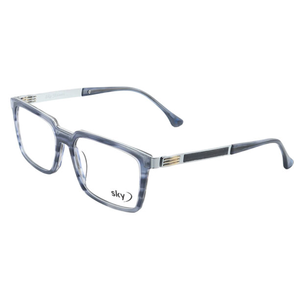 SKY Acetate & Metal Eyeglasses – Model 120546J