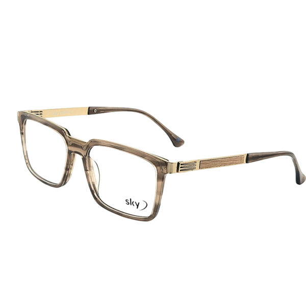 SKY Acetate & Metal Eyeglasses – Model 120546J