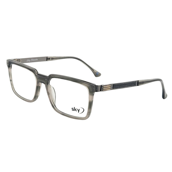 SKY Acetate & Metal Eyeglasses – Model 120546J