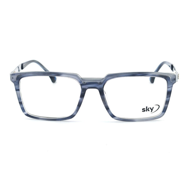 SKY Acetate & Metal Eyeglasses – Model 120546J
