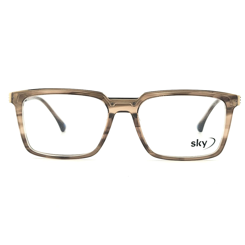 SKY Acetate & Metal Eyeglasses – Model 120546J