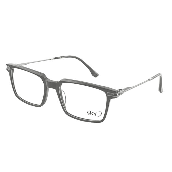 SKY Acetate & Metal Eyeglasses – Model 120568J