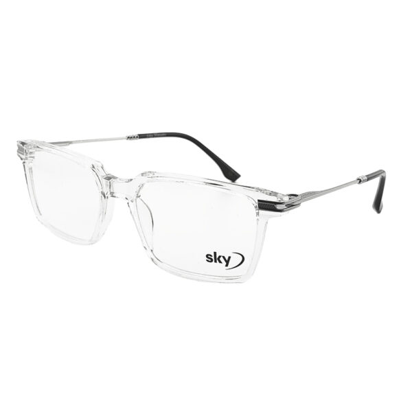 SKY Acetate & Metal Eyeglasses – Model 120568J