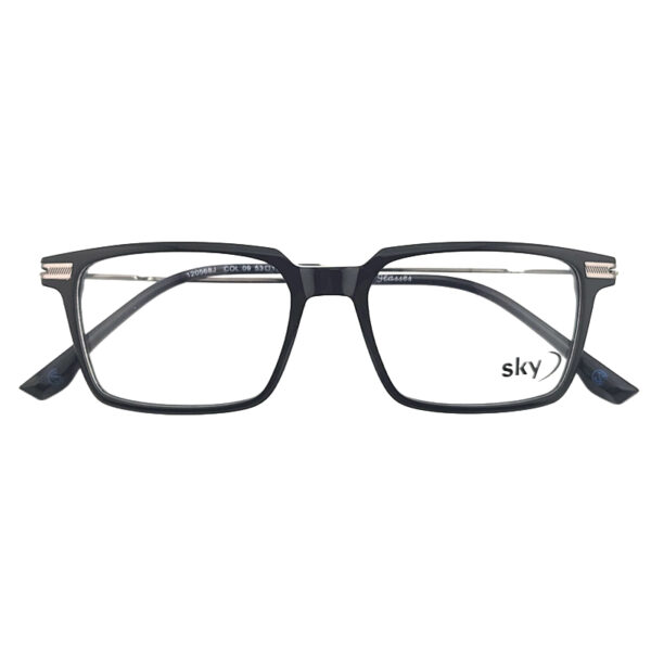 SKY Acetate & Metal Eyeglasses – Model 120568J