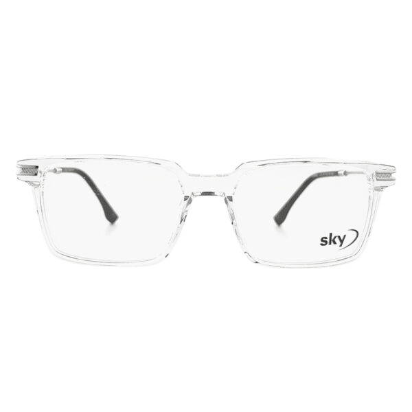 SKY Acetate & Metal Eyeglasses – Model 120568J