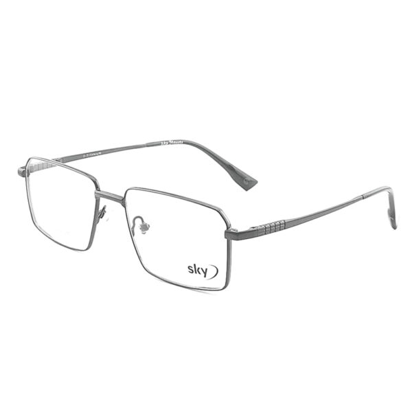 SKY Metal Eyeglasses – Model 120627J