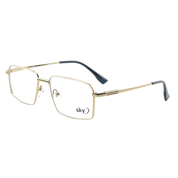 SKY Metal Eyeglasses – Model 120627J