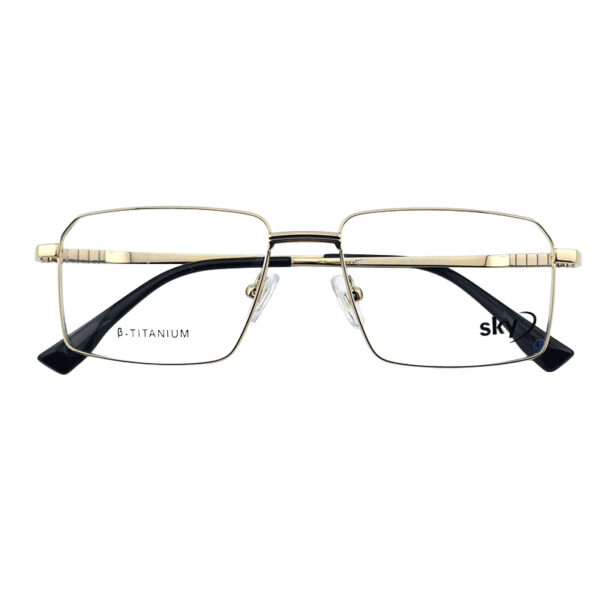 SKY Metal Eyeglasses – Model 120627J