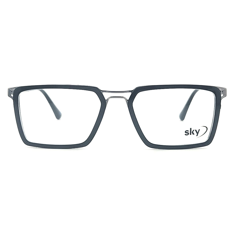 SKY Acetate & Metal Eyeglasses – Model 120633J