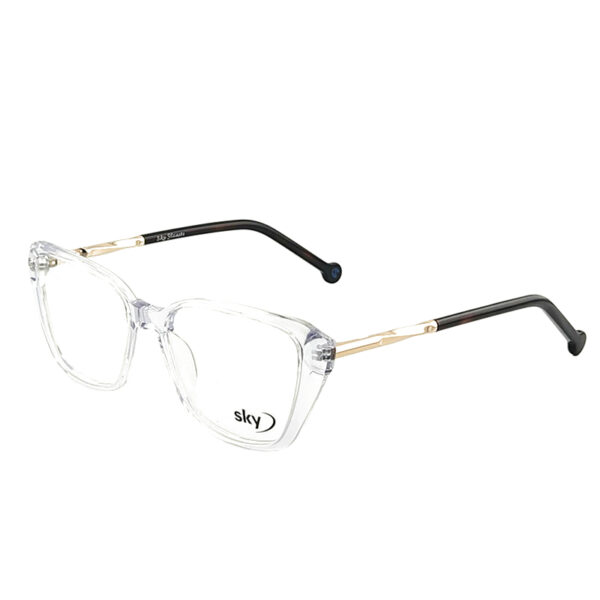 SKY Acetate & Metal Eyeglasses – Model 17366