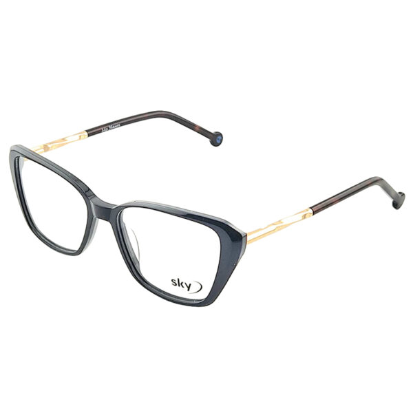 SKY Acetate & Metal Eyeglasses – Model 17366