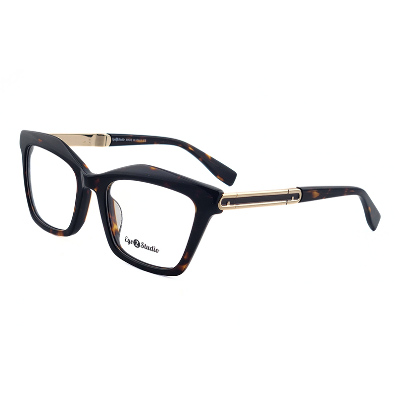 Eye 2 Studio Acetate Eye Glass Frame – Model No. 4620