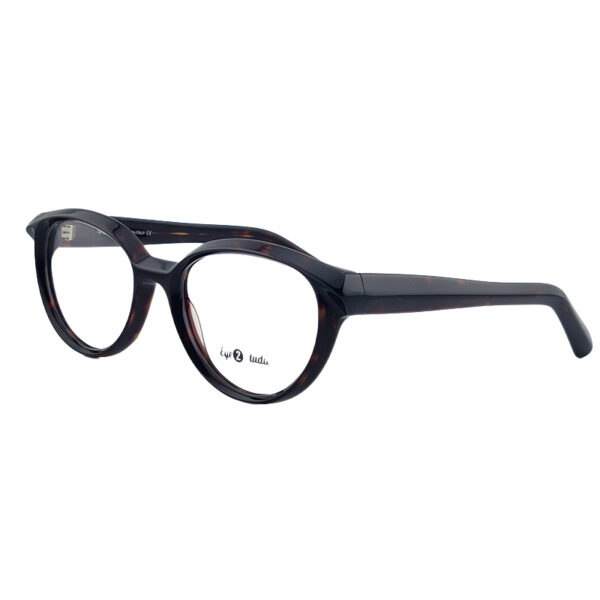 SKY Premium Acetate Eyeglasses – Model GL6734