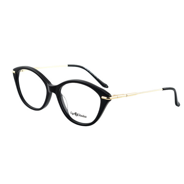 Eye 2 Studio Premium Acetate Eyeglasses – Model No. J110805
