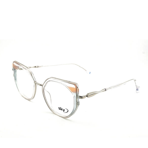 SKY Acetate & Metal Eyeglasses – Model W53025