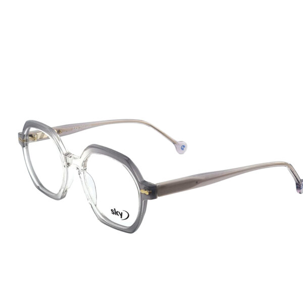 SKY Premium Acetate Eyeglasses – Model W53110