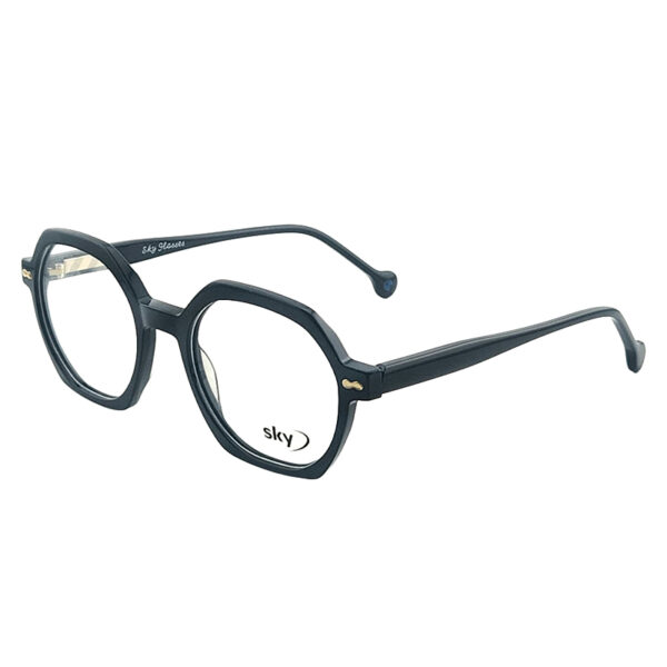 SKY Premium Acetate Eyeglasses – Model W53110