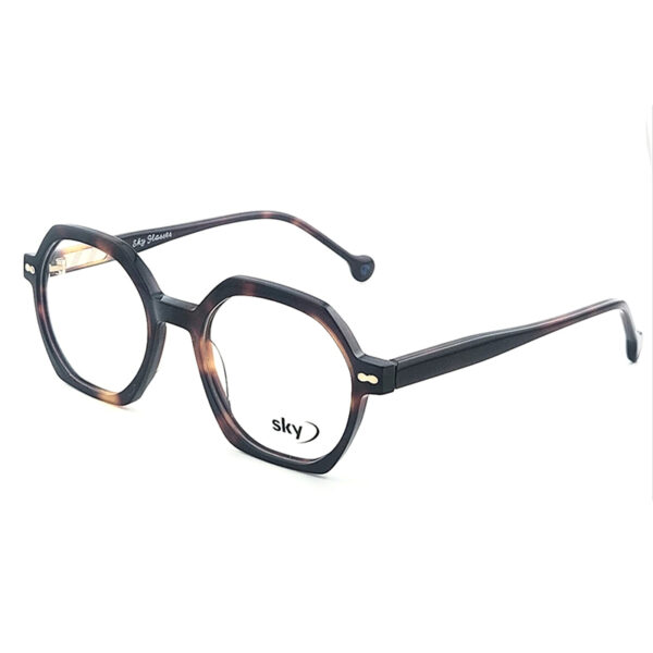 SKY Premium Acetate Eyeglasses – Model W53110