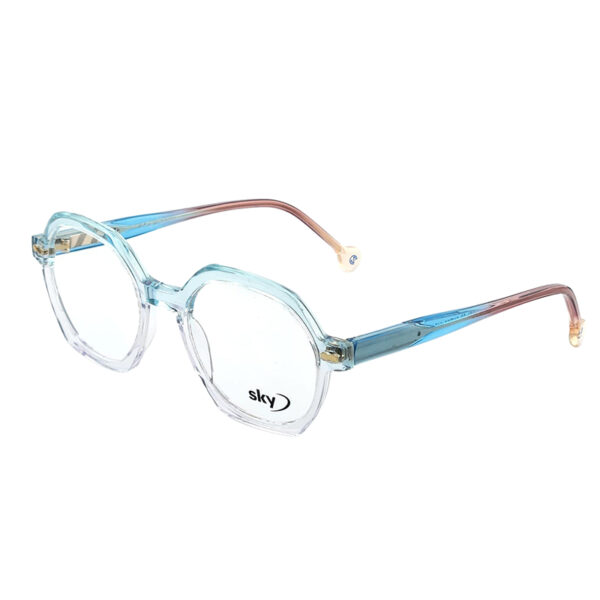 SKY Premium Acetate Eyeglasses – Model W53110