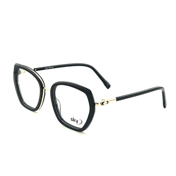 SKY Acetate & Metal Eyeglasses – Model W53116