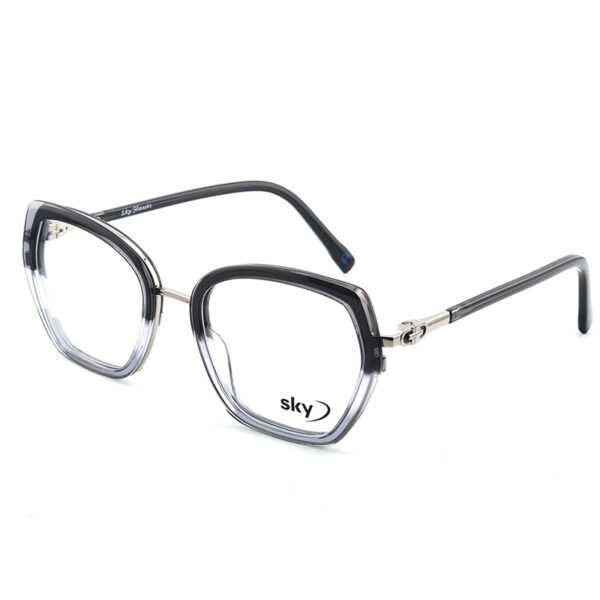 SKY Acetate & Metal Eyeglasses – Model W53116