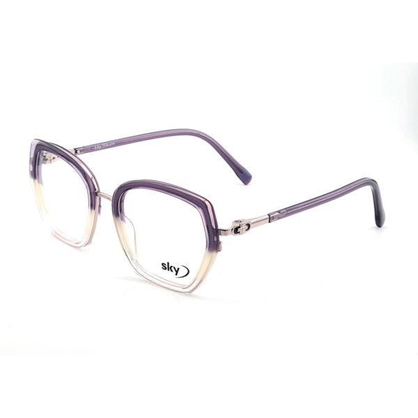 SKY Acetate & Metal Eyeglasses – Model W53116
