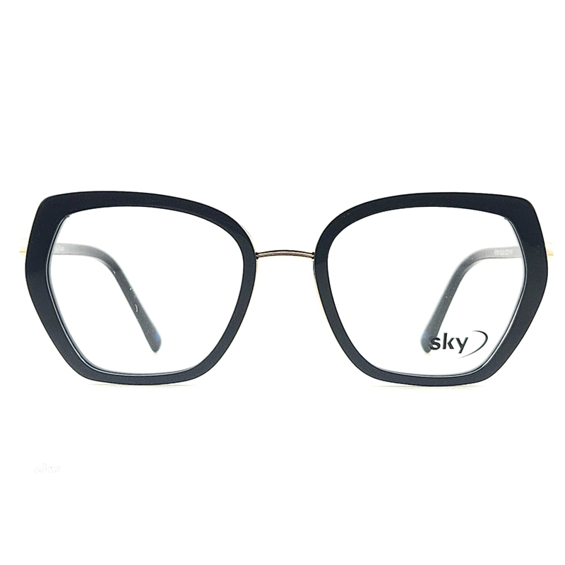 SKY Acetate & Metal Eyeglasses – Model W53116