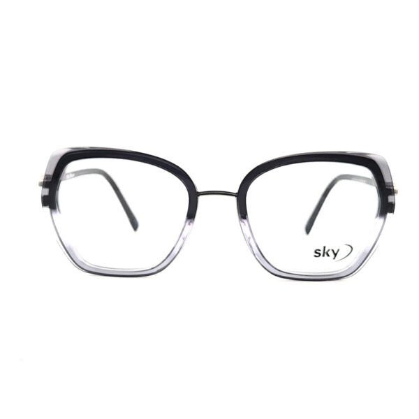 SKY Acetate & Metal Eyeglasses – Model W53116