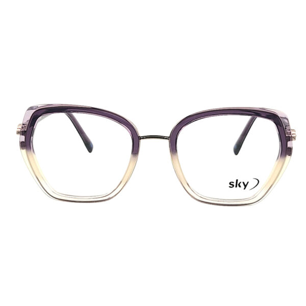 SKY Acetate & Metal Eyeglasses – Model W53116
