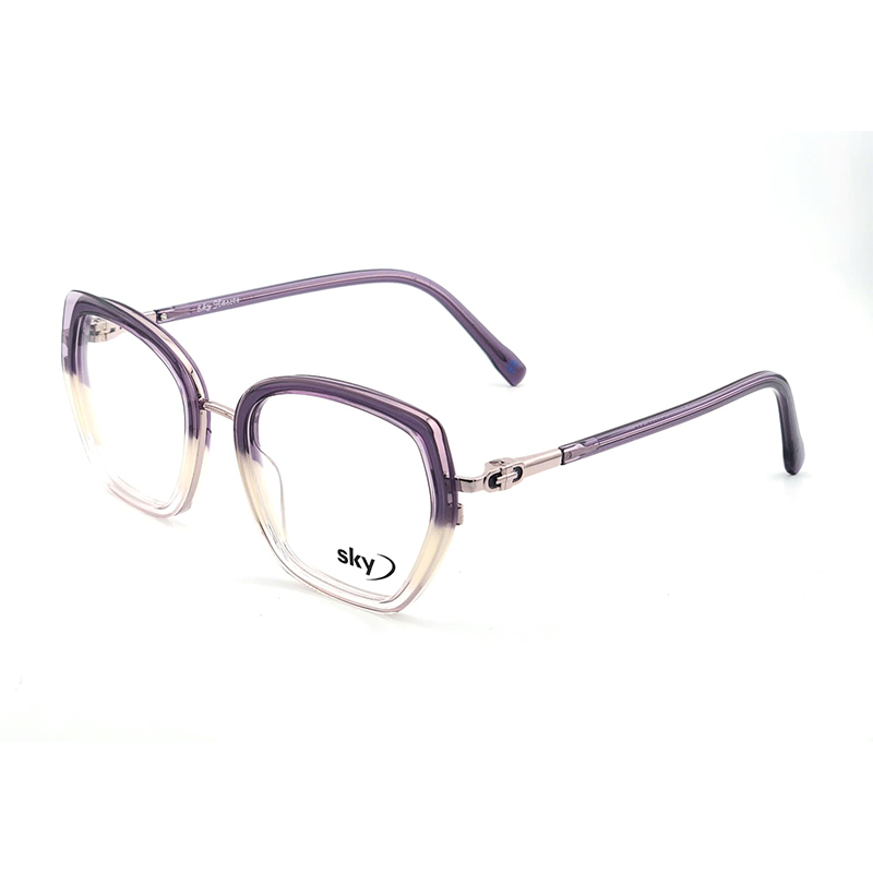 SKY Acetate & Metal Eyeglasses – Model W53116