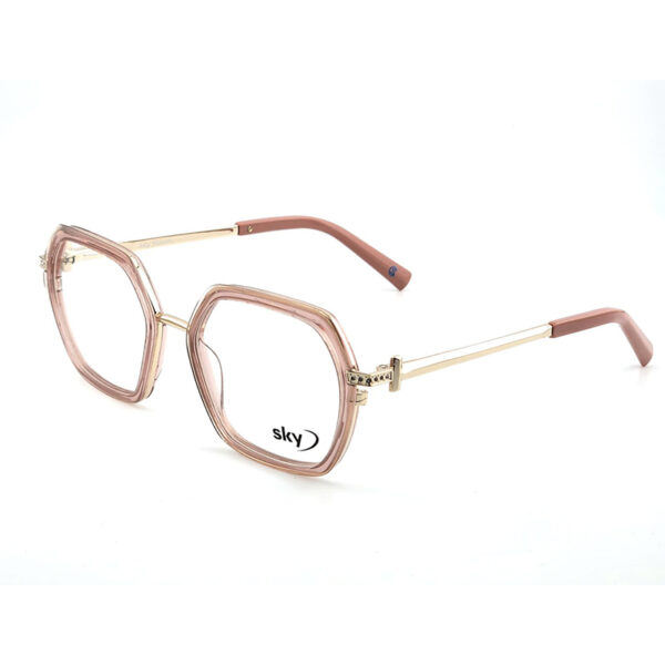 SKY Acetate & Metal Eyeglasses – Model W53153