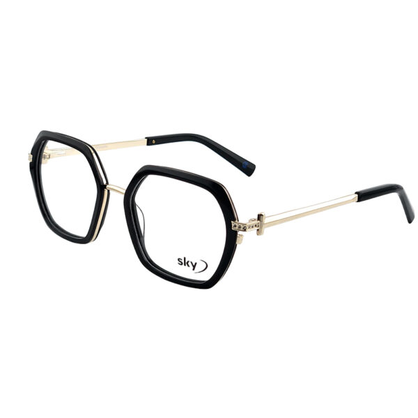 SKY Acetate & Metal Eyeglasses – Model W53153