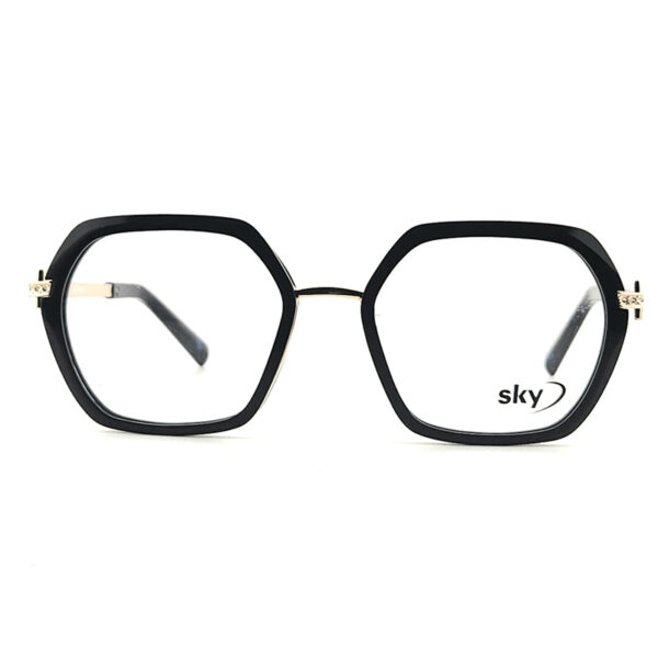 SKY Acetate & Metal Eyeglasses – Model W53153