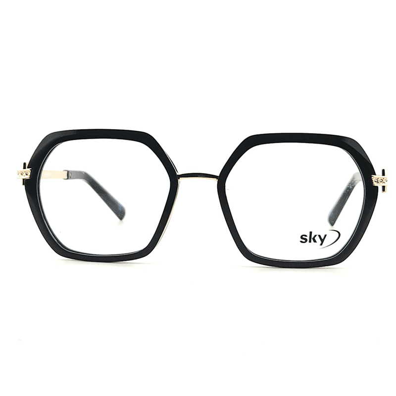 SKY Acetate & Metal Eyeglasses – Model W53153