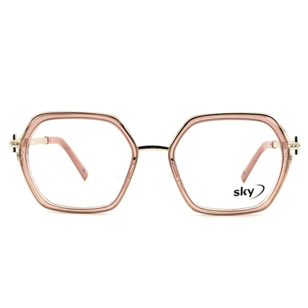 SKY Acetate & Metal Eyeglasses – Model W53153
